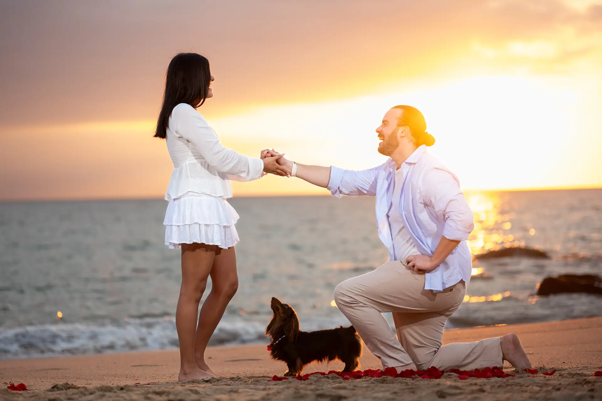 Surprise beach proposal with their dog in Puerto Vallarta at sunset